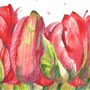 BLUMEN TULPEN, ORIGINAL, Aquarell, A4