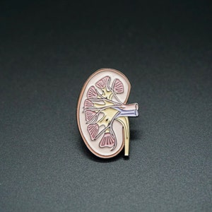Kidney Pin - enamel pin - anatomy - medical