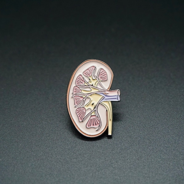 Kidney Pin - enamel pin - anatomy - medical
