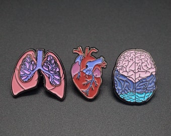 Trio organ pin pack - enamel pin - anatomy - medical