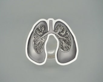 May include: A grayscale illustration of human lungs, featuring detailed internal structures. The artwork is outlined with a white border, set against a gray background. The image is a medical or anatomical representation.