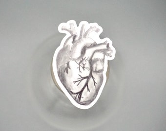 Heart Sticker - Anatomy - Sticker - Medicine - medical sticker - vinyl sticker