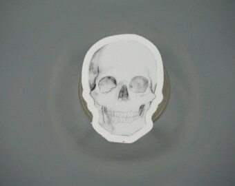 May include: A black and white skull illustration on a white background. The skull is detailed with shading to show the eye sockets, nose cavity, and teeth. The image is mounted on a circular, metallic base, set against a gray backdrop.