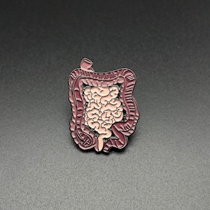 Épingle à intestins - épingle en émail - anatomie - médical