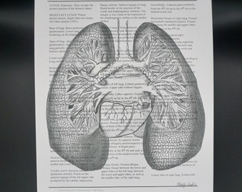 Lung Art Print - textbook page - human anatomy - medical print - wall art - gift drawing