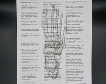 Foot Art Print - textbook page - human anatomy - medical print - wall art - gift drawing - skeletal art - chiropody art