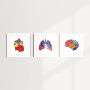 3-Pack of Artivive Augmented Reality Anatomical Organ Prints - Heart - Lungs - Brain - human anatomy - medical print - wall art
