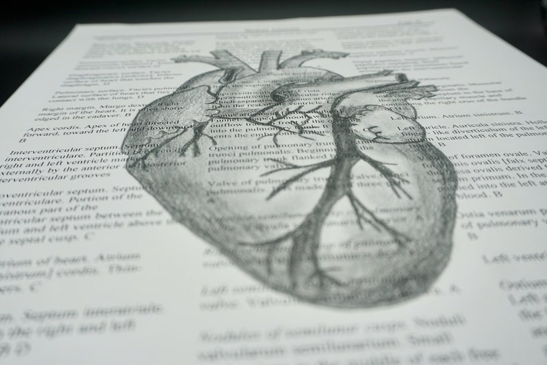 Heart Art Print - Textbook Page - Human Anatomy - Medical Print - Wall ...