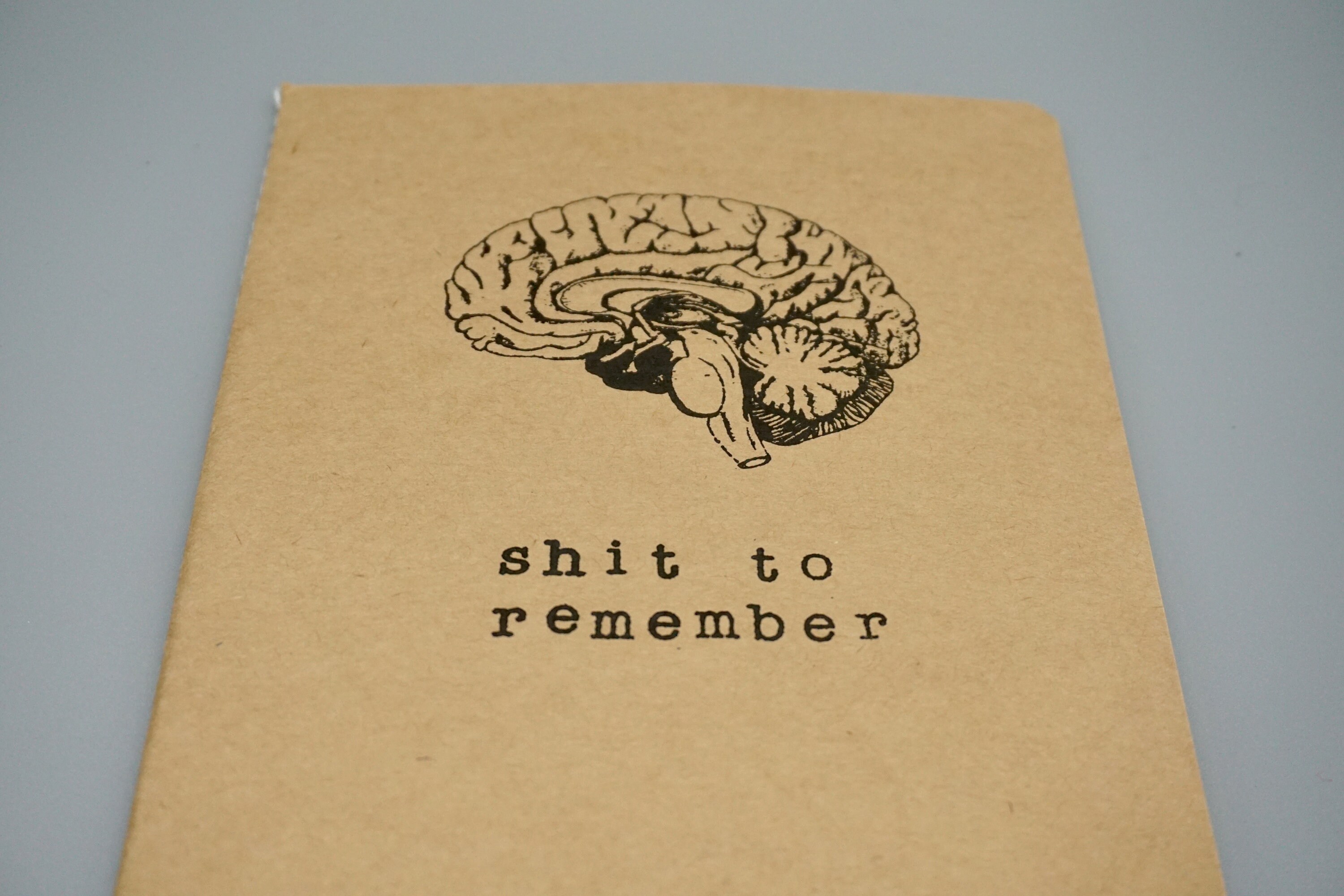 Brain Notebook notes lists anatomy | Etsy