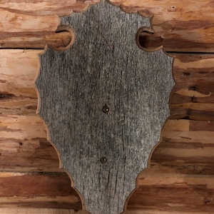 Barn wood European mount plaque