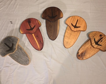Handmade turkey fan/beard plaque