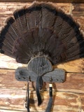 animal mounts