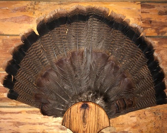 Handmade turkey fan plaque/display