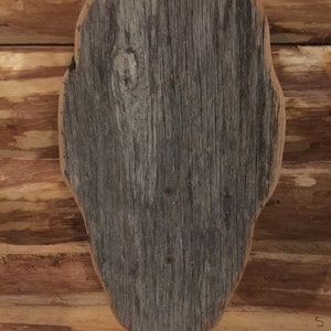 Barn wood European mount plaque