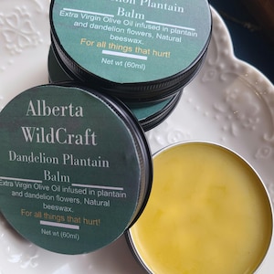 PLANTAIN and DANDELION  | skin balm | Skin salve | dandelion salve |