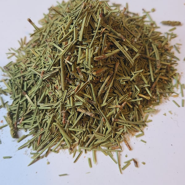 Pine Needle Tea | pine | pinus |