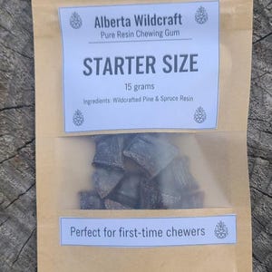 Spruce & Pine Resin Chewing Gum – Starter Size (15 g) | Wild-Harvested Boreal Forest Gum