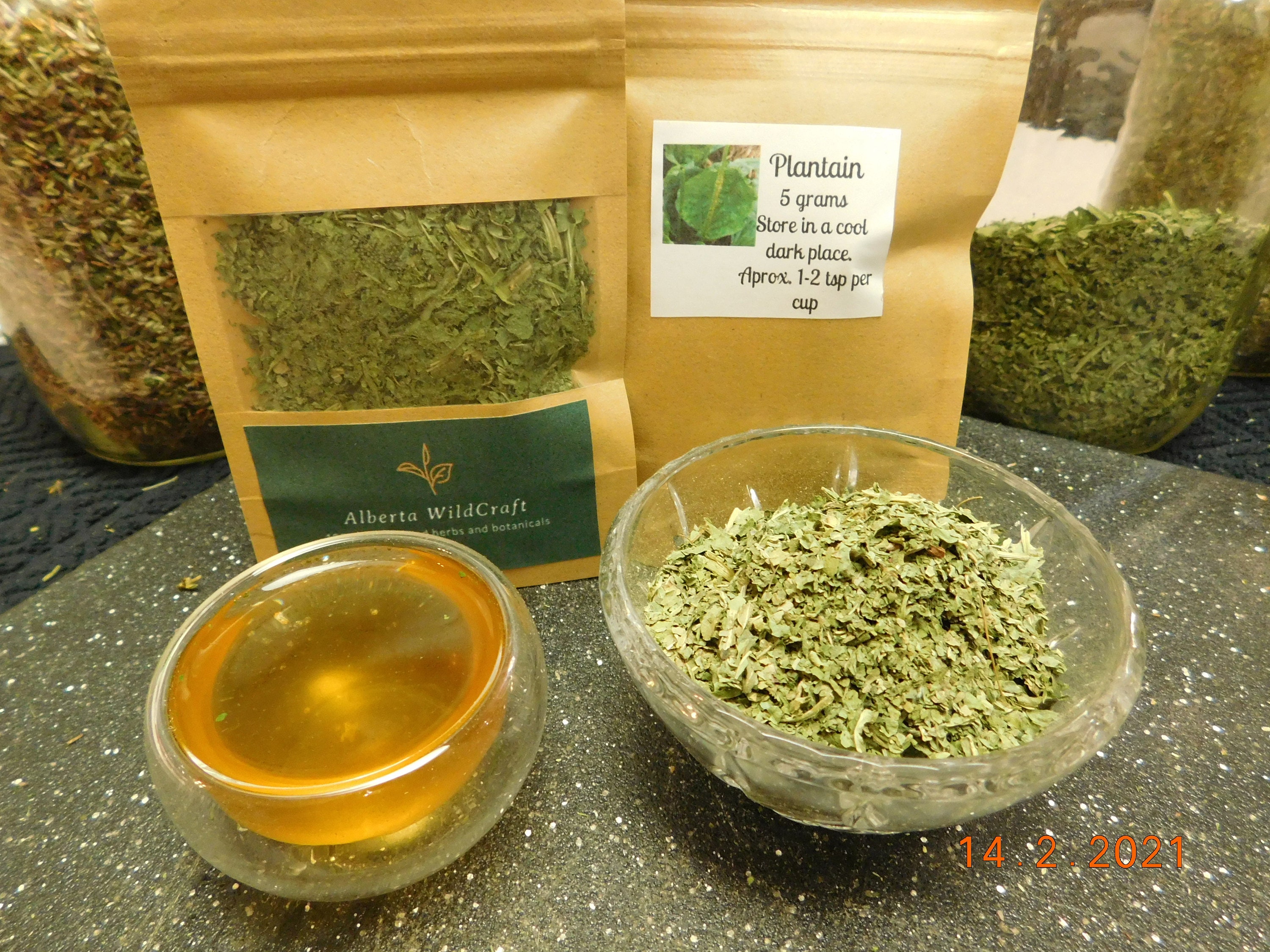 PLANTAIN LEAF wildcraft herbal tea