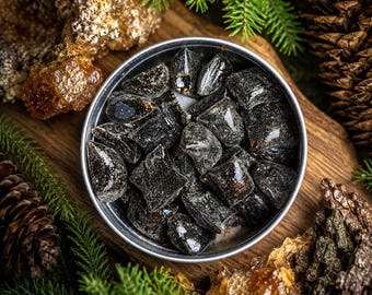 Spruce Resin Gum | Pine Resin Gum Hand-Harvested | Soft bouncy chew!