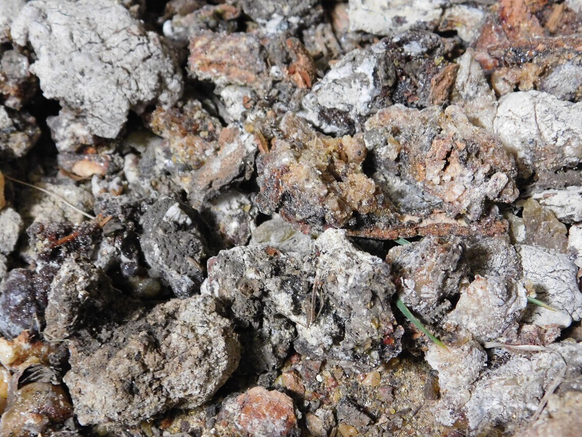 Spruce Resin Spruce Pitch Spruce Gum Raw Spruce Resin Sustainably