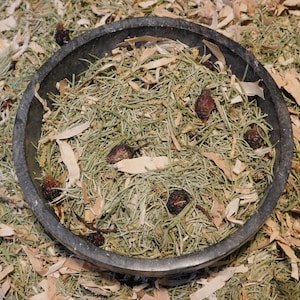 Spruce Winter Tea -|  spruce tea | Herbal tea || immune support |