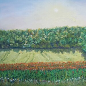 Farm Summer Wheat Field