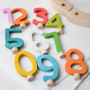 Pu&ograve; includere: Una collezione di dieci numeri in legno da zero a nove, ognuno dipinto in un colore distinto tra cui rosa, arancione, rosso, verde lime, verde acqua, bianco, giallo e blu. Ogni numero presenta un piccolo piolo cilindrico in legno alla base.