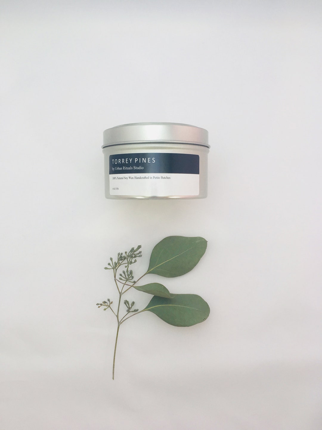 Torrey Pines, 6oz Soy Candle, Evergreen Candle Natural Soy Candle, Pine