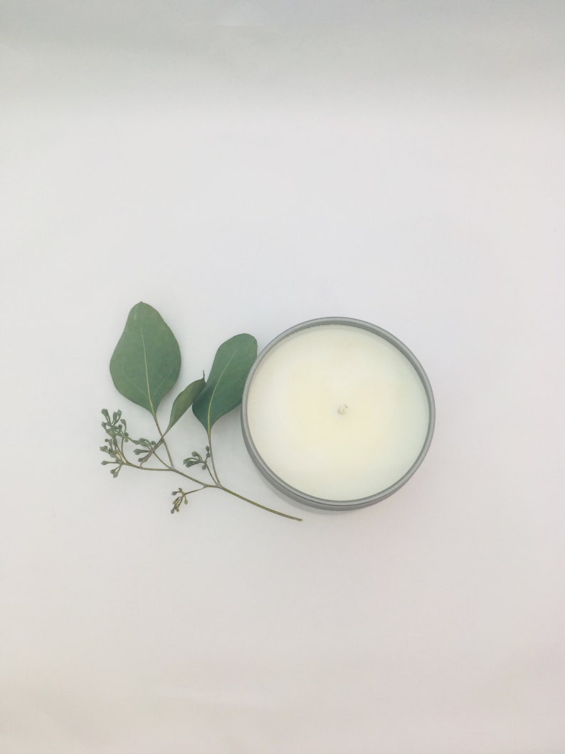 Torrey Pines, 6oz Soy Candle, Evergreen Candle Natural Soy Candle, Pine