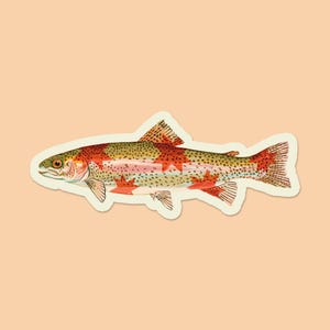 May include: A sticker featuring a colorful illustration of a rainbow trout. The fish has a mix of red, orange, green, and yellow hues with a white outline. The sticker is set against a peach-colored background.