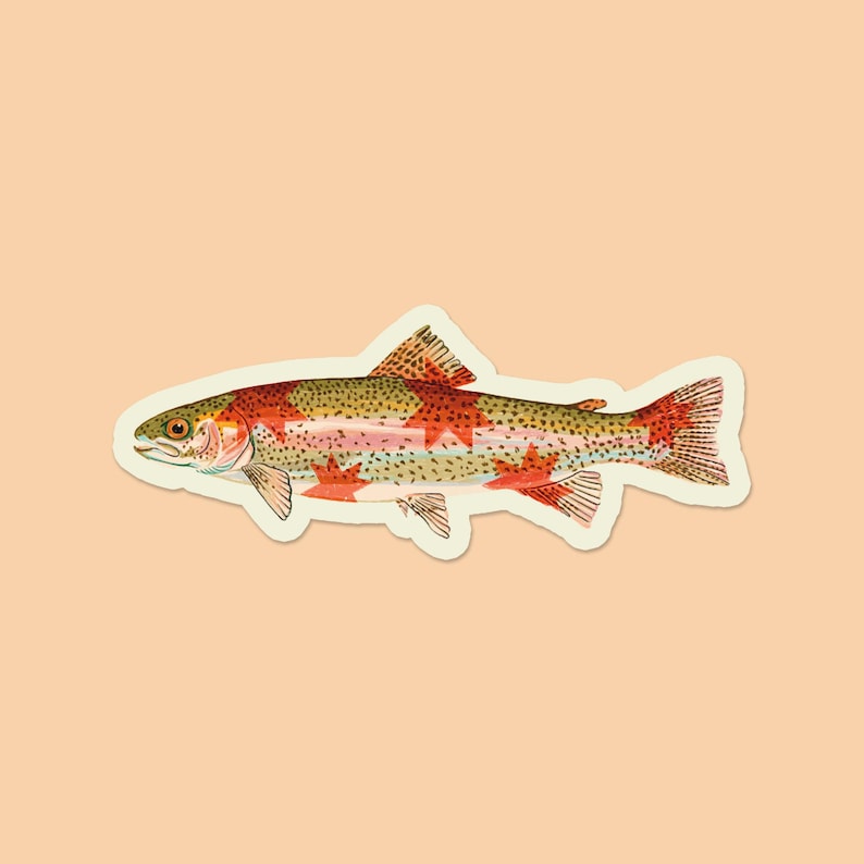 May include: A sticker featuring a colorful illustration of a rainbow trout. The fish has a mix of red, orange, green, and yellow hues with a white outline. The sticker is set against a peach-colored background.