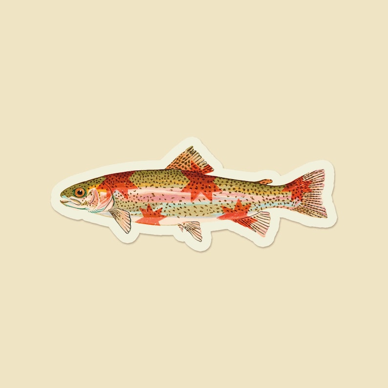 Rainbow Trout Starry Fish Sticker image 2