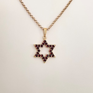 May include: A gold chain necklace with a red garnet Star of David pendant.