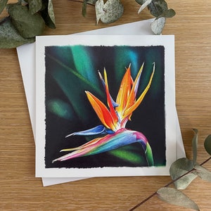 Cartão de saudação Bird of Paradise - Cartão de flor em branco - Cartão de saudação para qualquer ocasião
