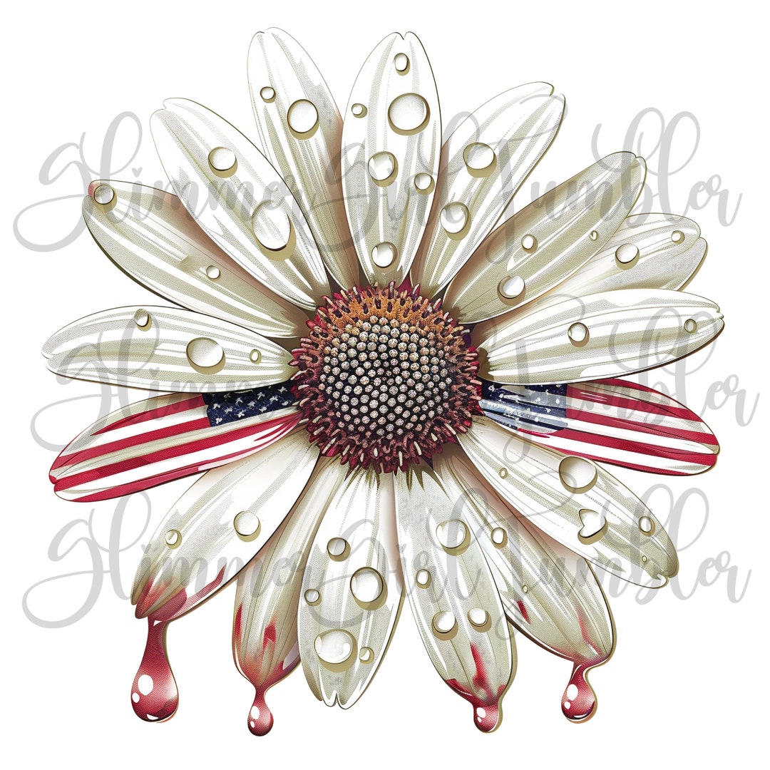 American Flag Clipart Daisy PNG Flower Watercolor 3D Art Clipart for