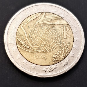 2 euro minnesmynt - Italienska republiken 2004, Världslivsmedelsprogrammets femtioårsjubileum