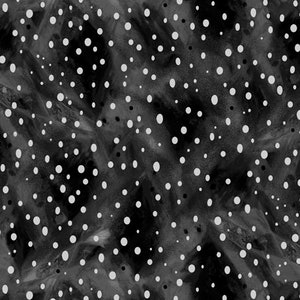 25723-J Aura Dots Black. Priced by the half yard.