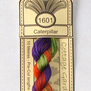 May include: A skein of Cottage Garden Threads embroidery floss in the color "Caterpillar" (1601). The floss is a blend of orange, green, purple, and red.