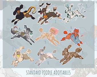 Standaard geadopteerde poedels: geadopteerde wilde honden