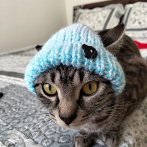 May include: A tabby cat wearing a light blue and white knit hat with a black button. The cat has yellow eyes and is looking directly at the camera. The hat is small and fits snugly on the cat's head. The background is a bed with a patterned comforter.