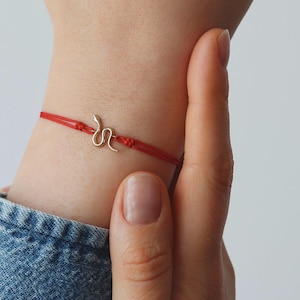 Puede incluir: Un brazalete de cuerda roja con un pequeño dije de serpiente de oro.