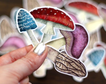 4 Pack ~ Mushroom Sticker Bundle