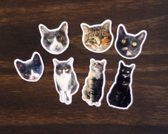 Set of 7, 1" Mini Cat Family Stickers