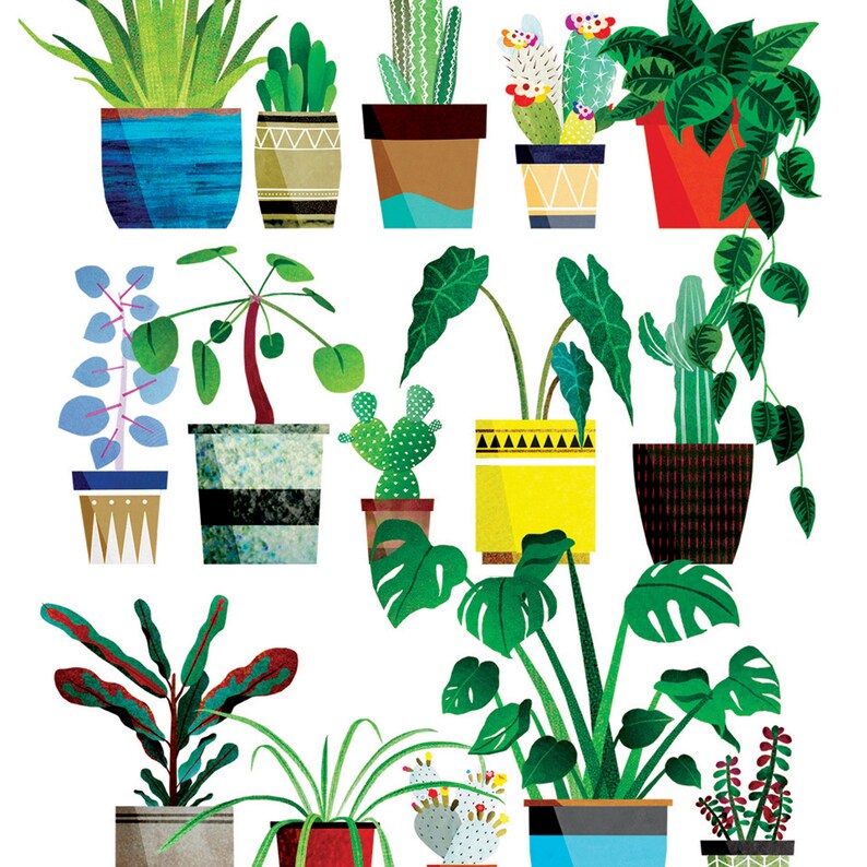 House Plants New Home Greeting Card - Birthday Cards - New Home - Celebration - Congratulations - A6 Card - Snippet Art - Illustration image 3