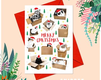 Cats In Boxes Xmas Greeting Card - Christmas Cards - Christmas Cards Funny - Christmas Gifts - Christmas Stocking - Xmas Cards - Xmas Gift
