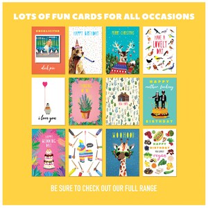 May include: A set of 10 greeting cards with colorful illustrations and humorous text. The cards feature a variety of themes, including birthdays, holidays, and general occasions. The cards are printed on high-quality cardstock and come with envelopes.