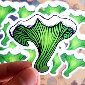 Champignon fantôme - Champignons Sticker