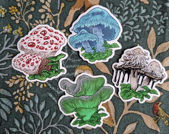 Fungi Stickers: Inky Cap, Ghost Mushroom, Blue Roundhead, Bleeding Tooth
