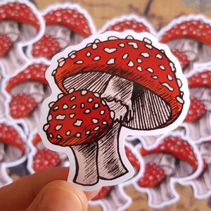 Amanite mouche - Champignons Sticker