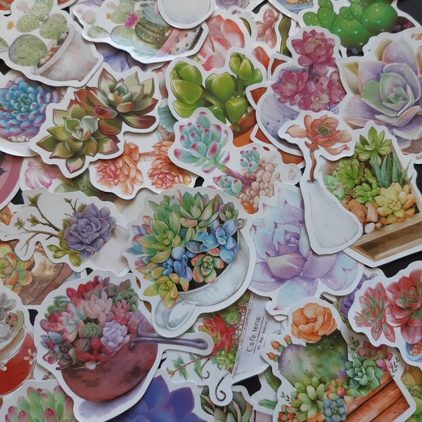 Stickers Succulents Cactées Botanique Nature Jardinage Plantes d'intérieur Autocollants Scrapbooking Bullet journal Ensemble 48 pièces